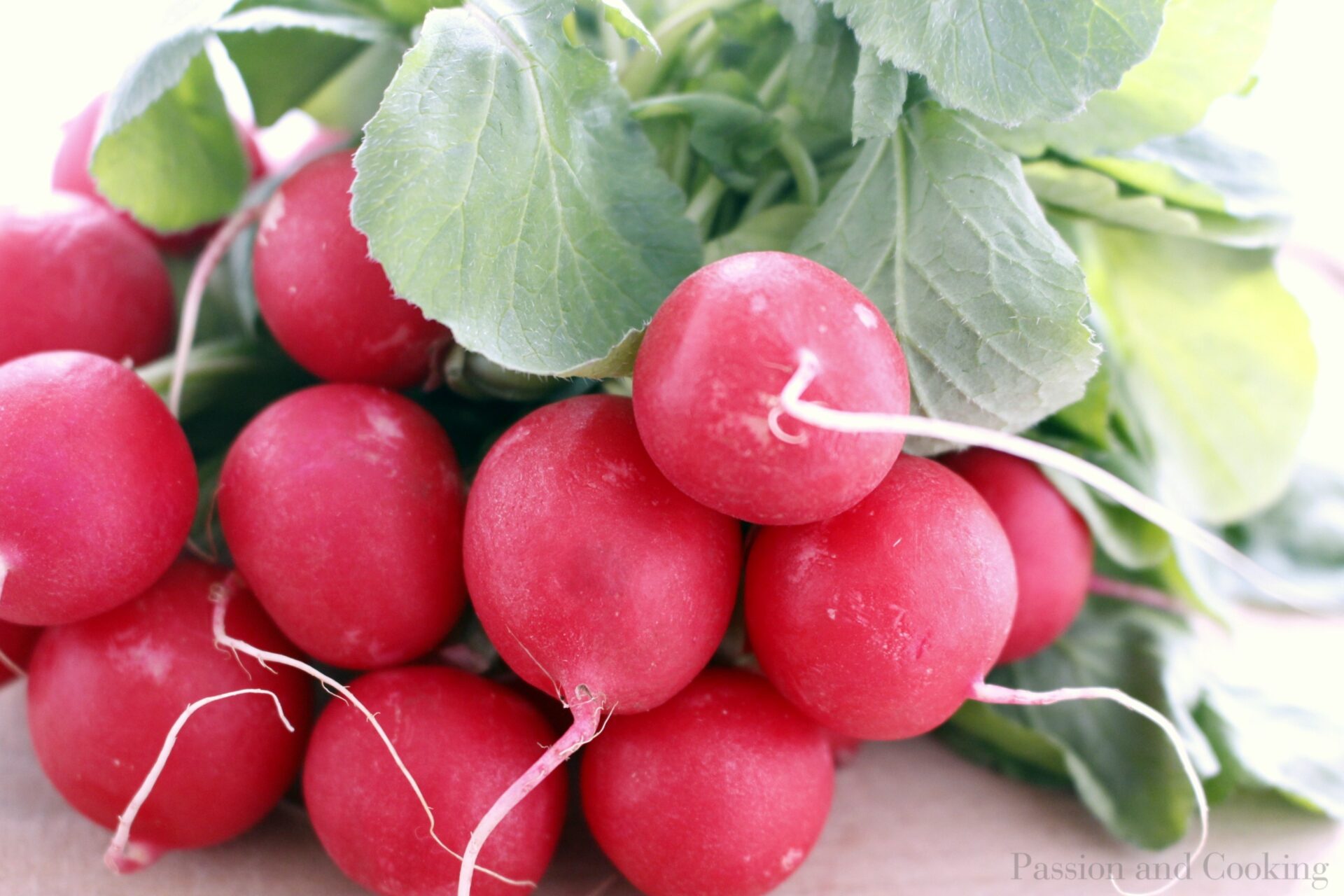 Insalata con Rucola e Ravanelli (Arugula and Radish Salad